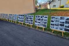 IMG-20241116-WA0031