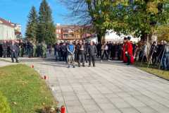 IMG-20241116-WA0088